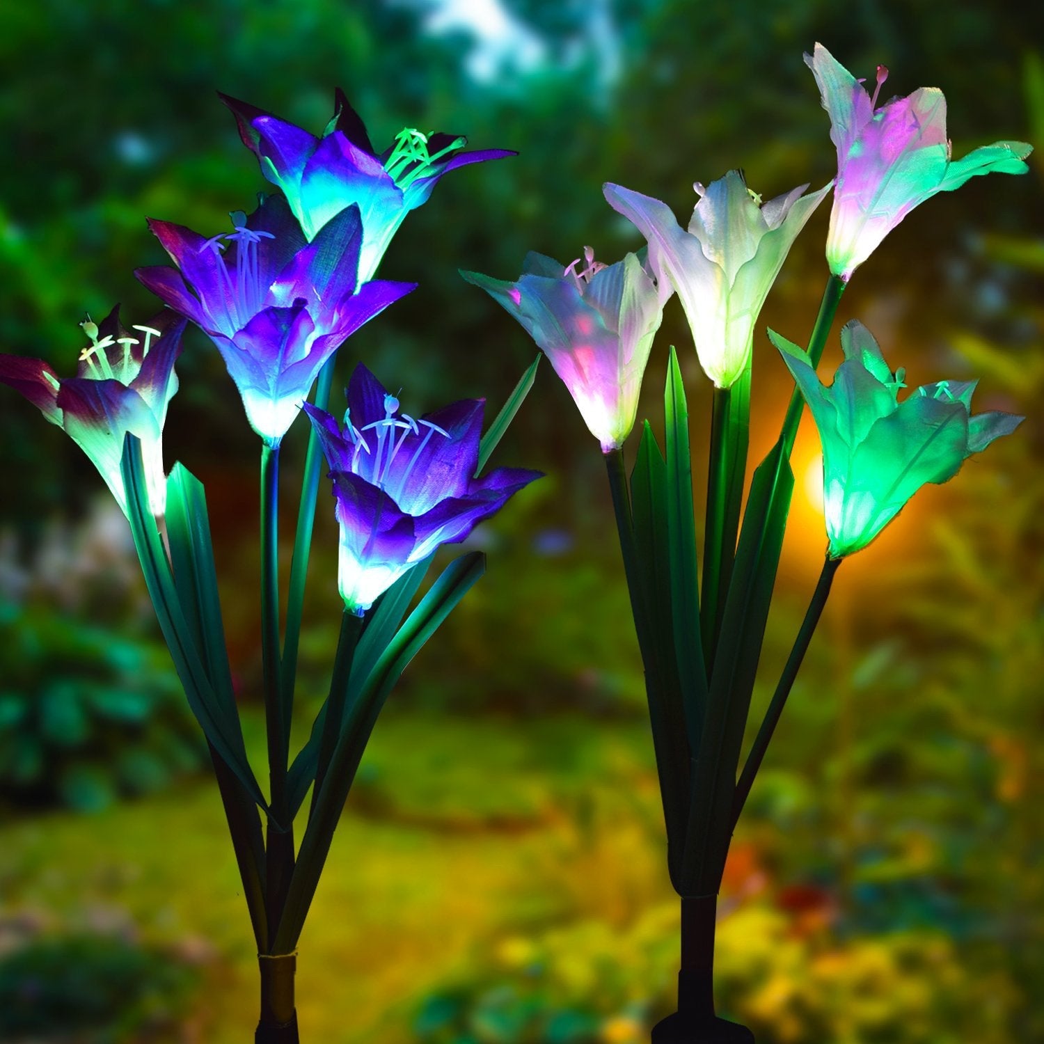 Garden Lights