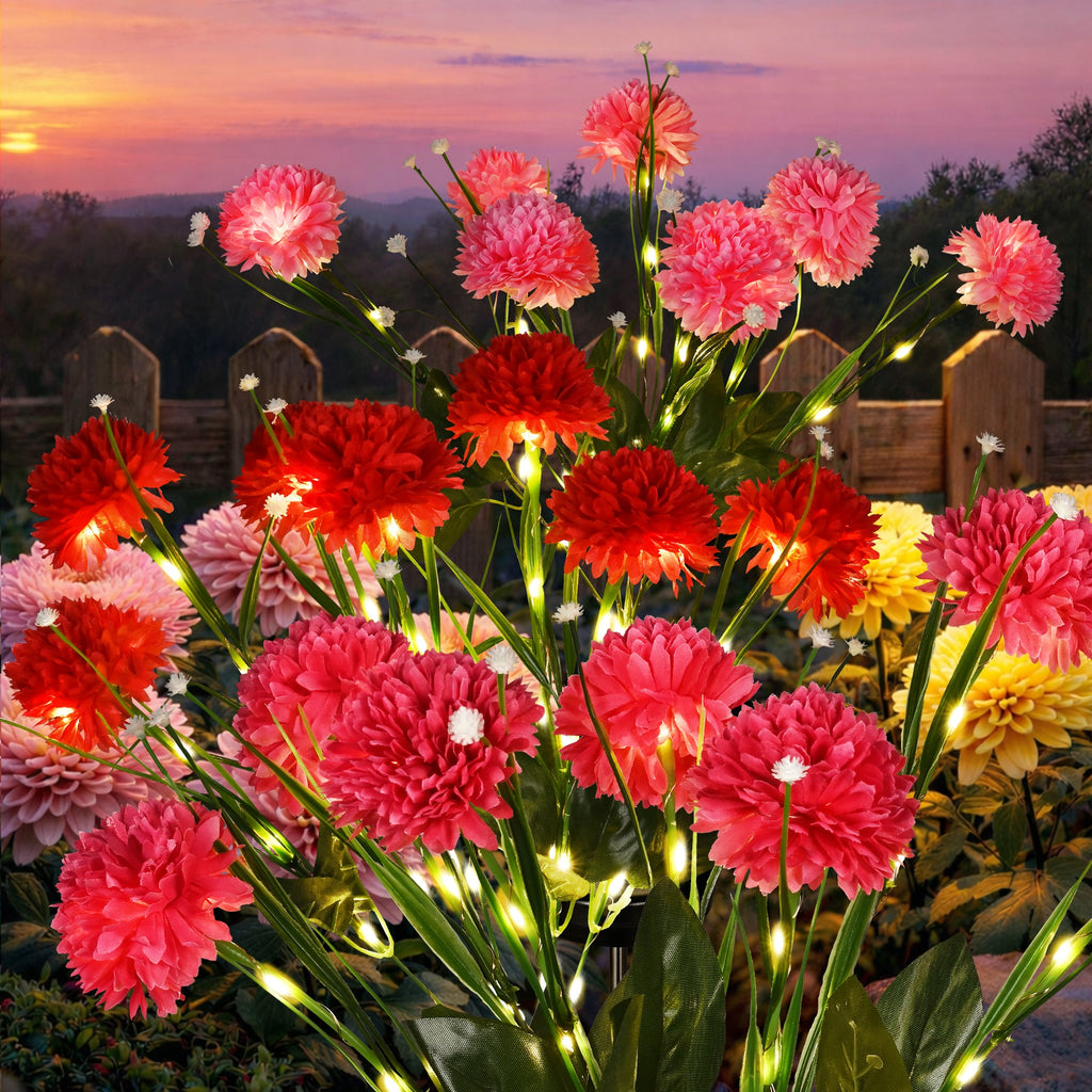 NoWire BloomGlow Solar Chrysanthemum Garden Lights – 3 Pack / 6 Pack