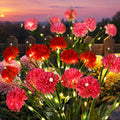 NoWire BloomGlow Solar Chrysanthemum Garden Lights – 3 Pack / 6 Pack