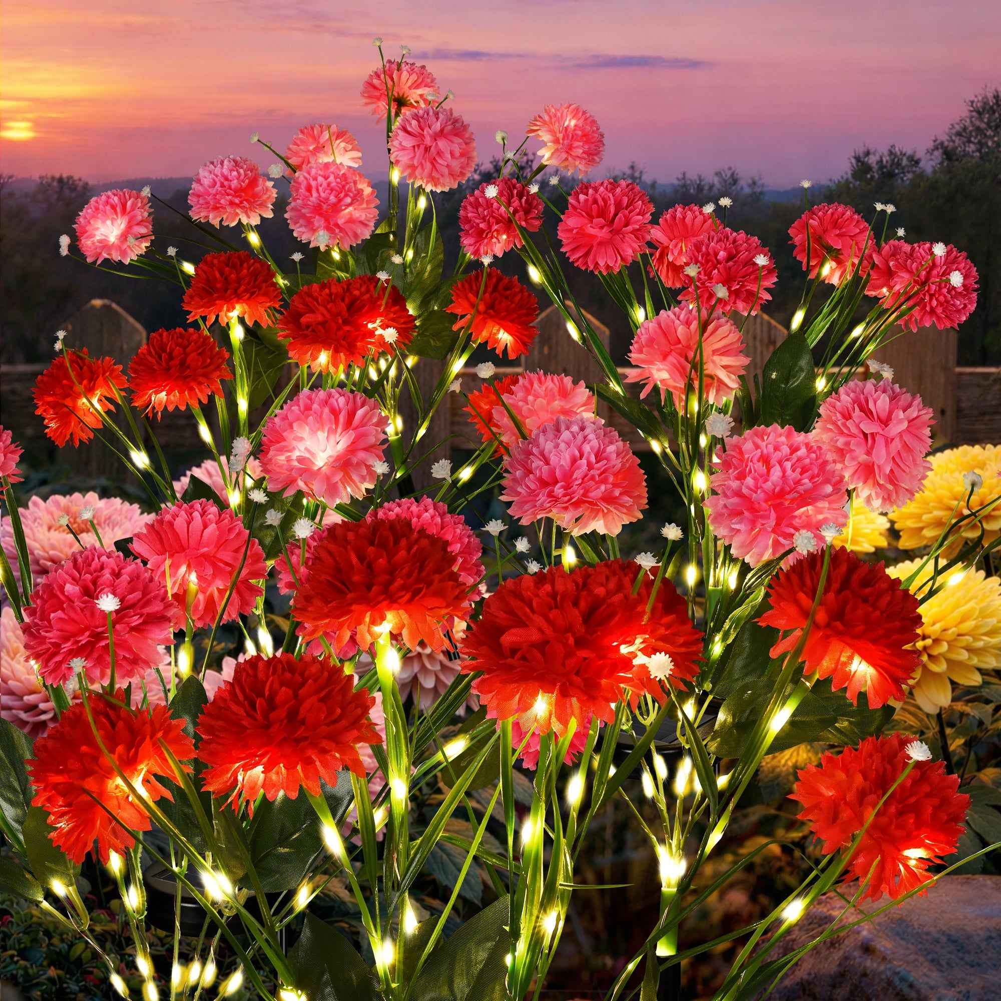 NoWire BloomGlow Solar Chrysanthemum Garden Lights – 3 Pack / 6 Pack