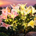 NoWire EverLily Solar Garden Flower Lights – 2 / 3 / 4 Pack