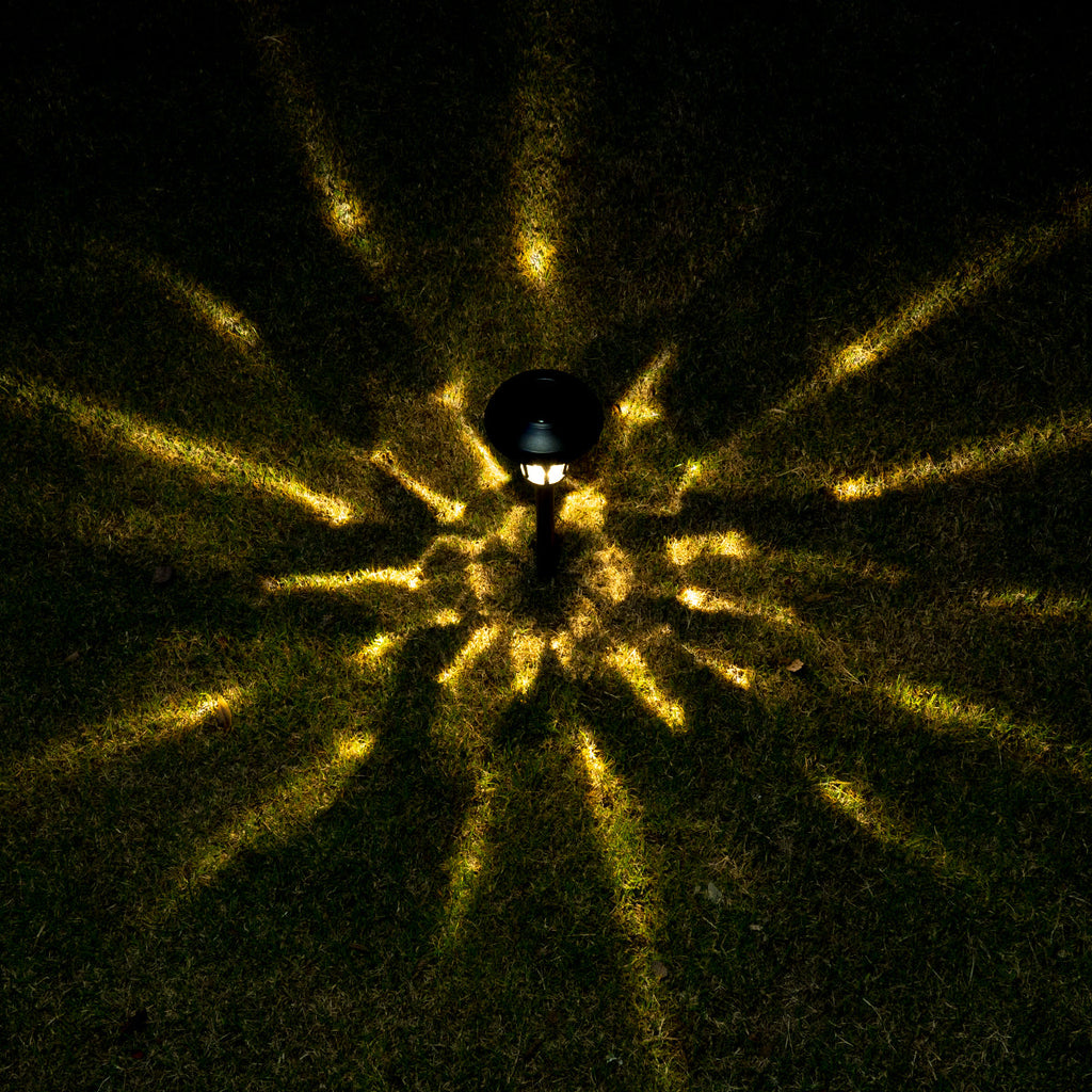 NoWire TulipGlow Solar Pathway Lights – 6 Pack