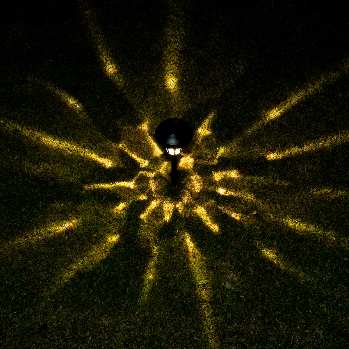 NoWire TulipGlow Solar Pathway Lights – 6 Pack