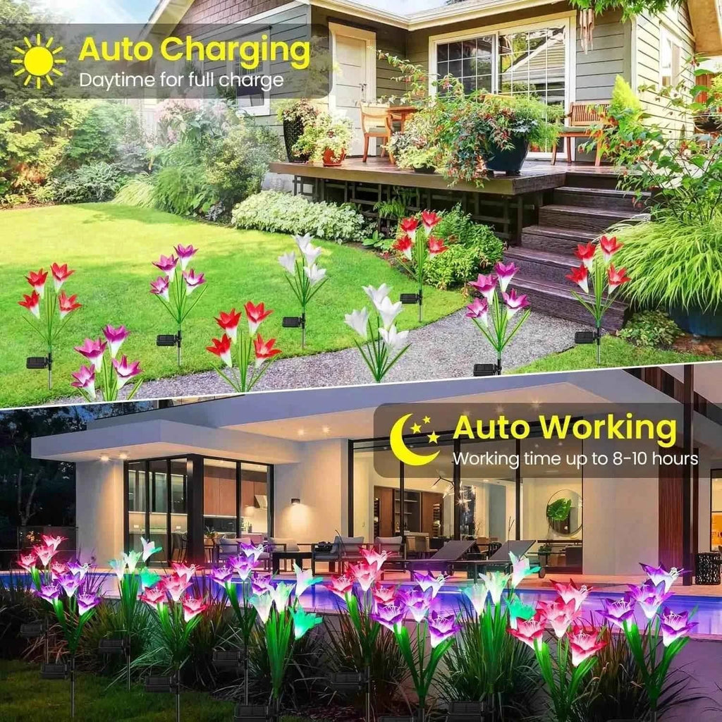 Outdoor Solar Lily Garden Lights Set