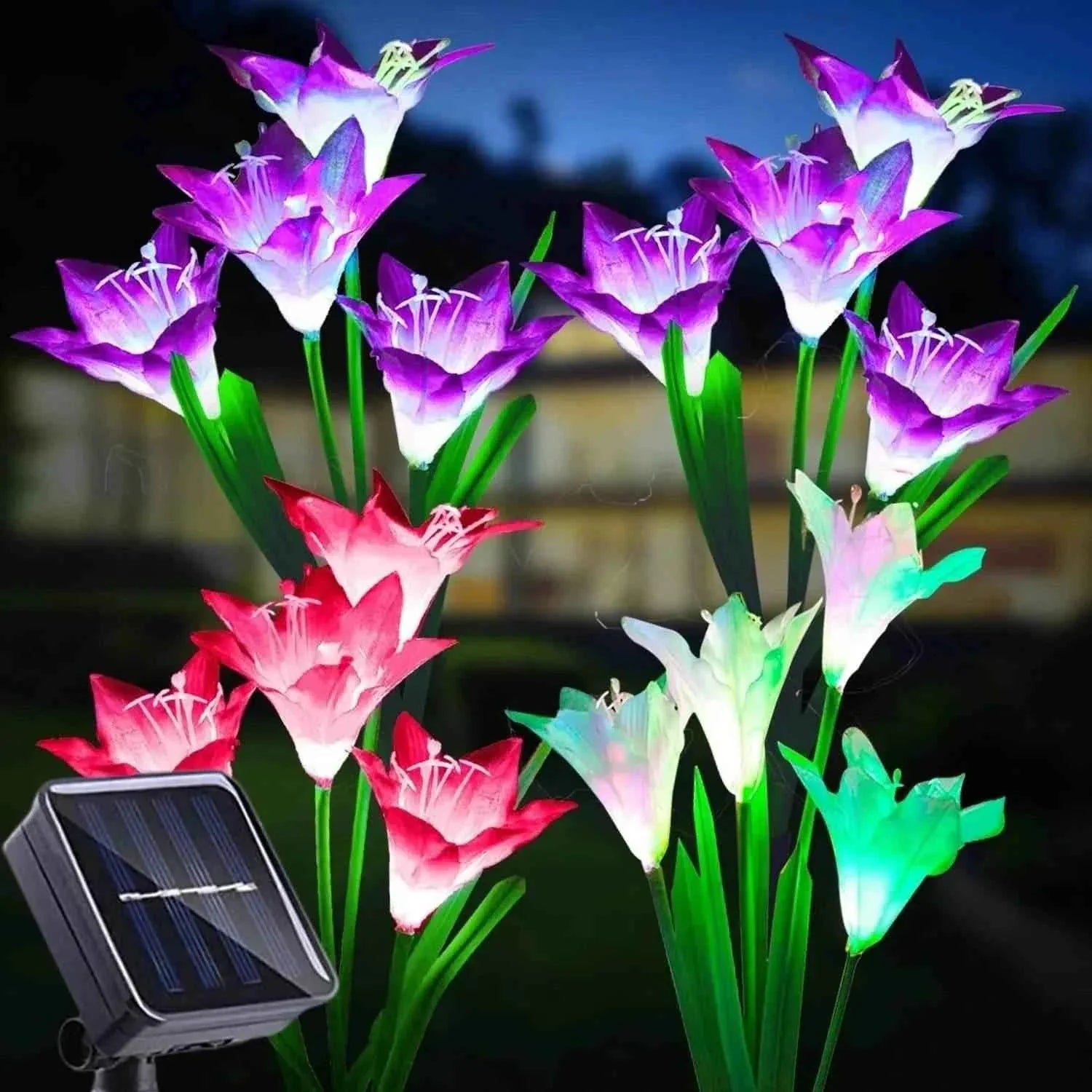 Outdoor Solar Lily Garden Lights Set